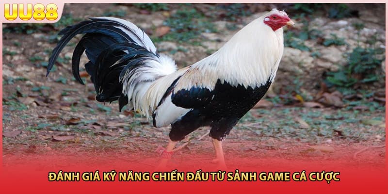 Đánh giá kỹ năng chiến đấu từ sảnh game cá cược